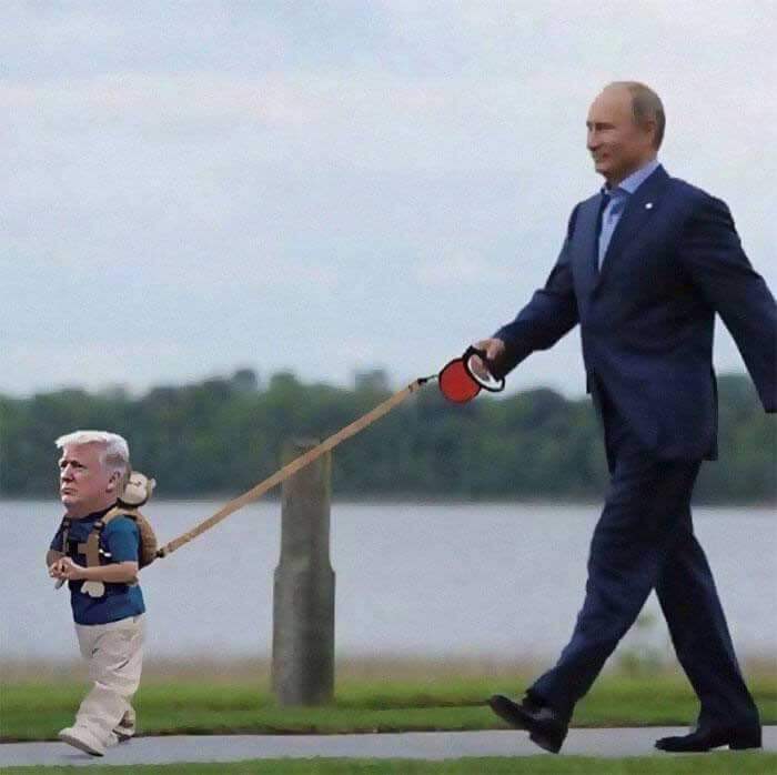 Trump Putin