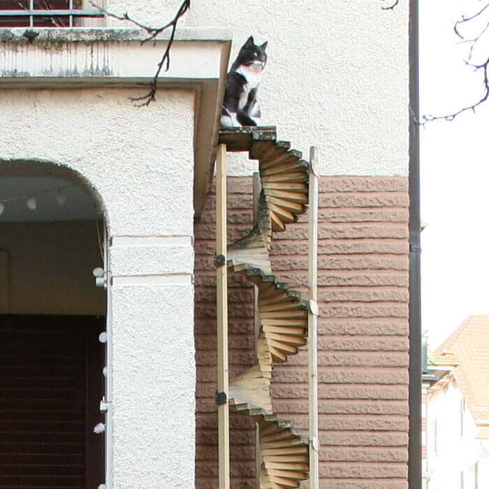 Kedi Merdivenleri